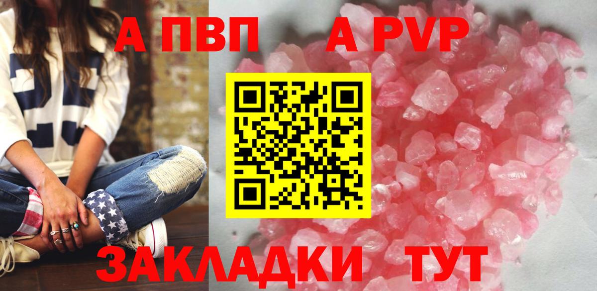 Альфа ПВП СК Кингисепп