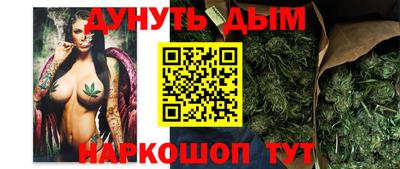гидра Беслан