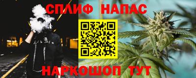 гидра Беслан