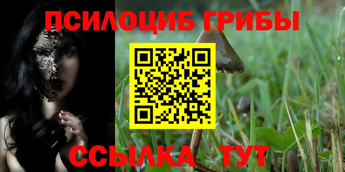 Галлюциногенные грибы Psilocybine cubensis Кингисепп